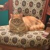colby0517